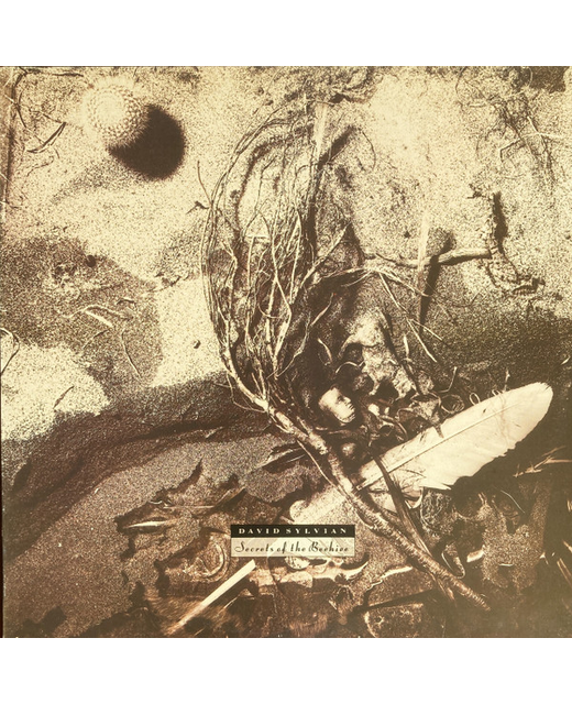 David Sylvian - Secrets Of The Beehive