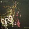 ILS - Angels (Part Two)