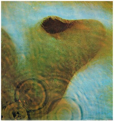 Pink Floyd - Meddle-vinyl-Tron Records